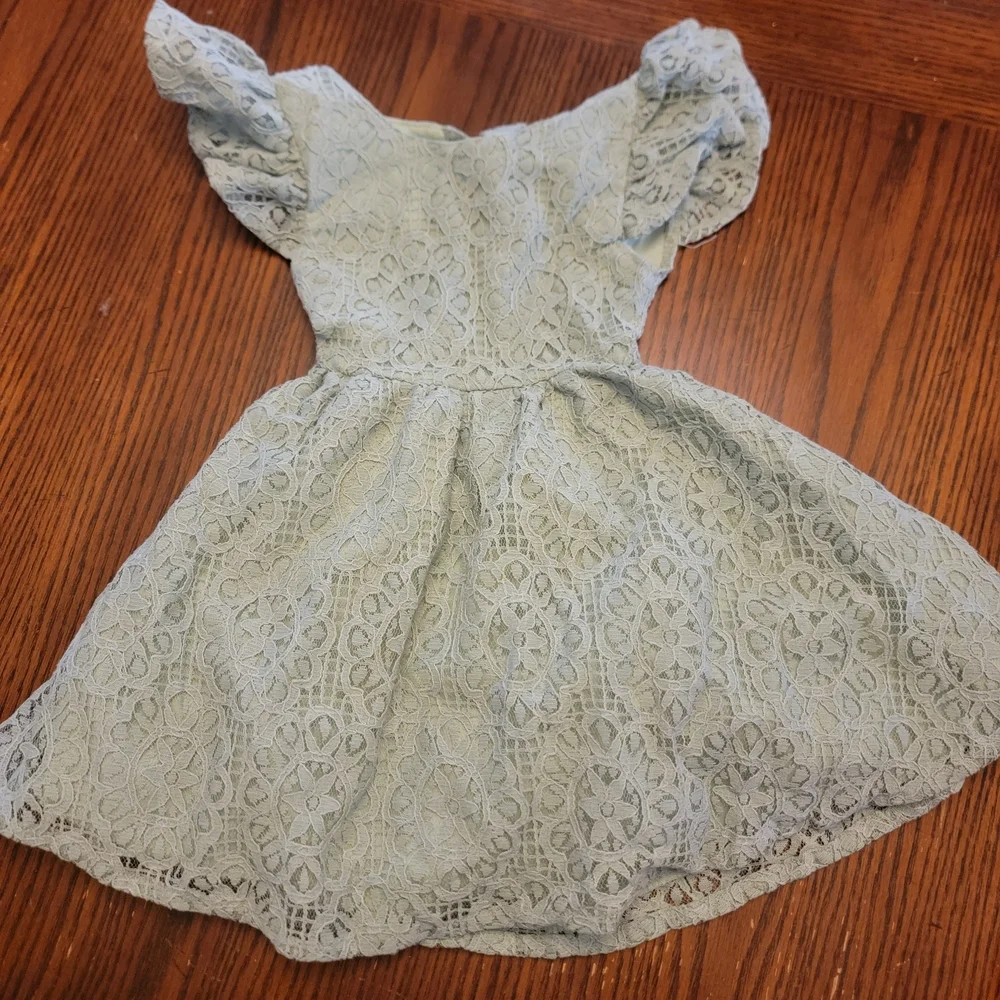 Light Sage Green Lace Fit & Flare Dress with Flutter Sleeves Size 12 Months